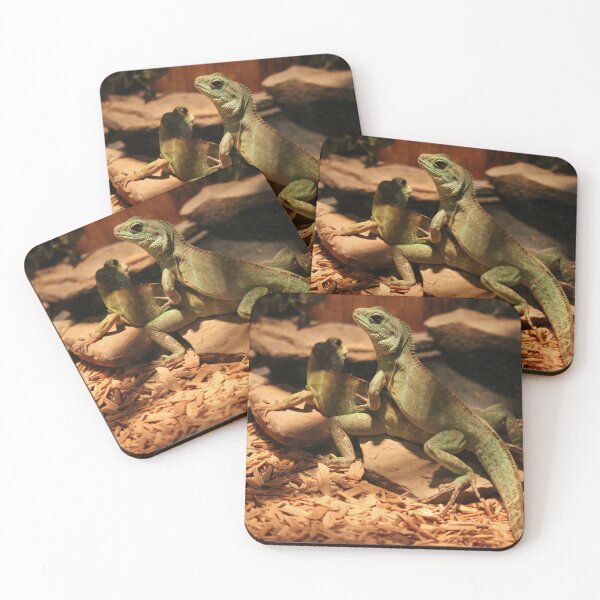 Item preview, Lizards Playing Or Mating designed and sold by Cynthia48.