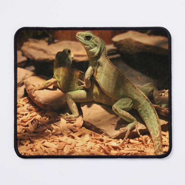 Item preview, Lizards Playing Or Mating designed and sold by Cynthia48.