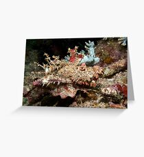 Spiny Devilfish Greeting Card