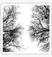 Black and White Trees Sticker