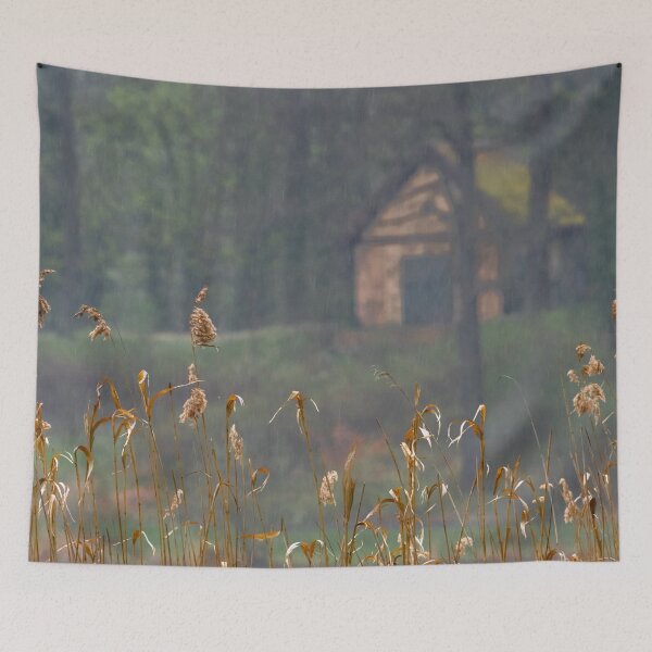 Item preview, Little Hut in the Rain designed and sold by metriognome.