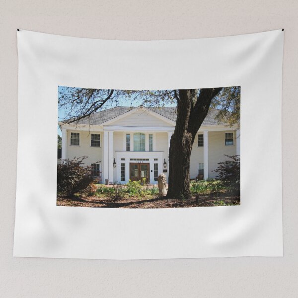 Item preview, Nice Big White House designed and sold by Cynthia48.