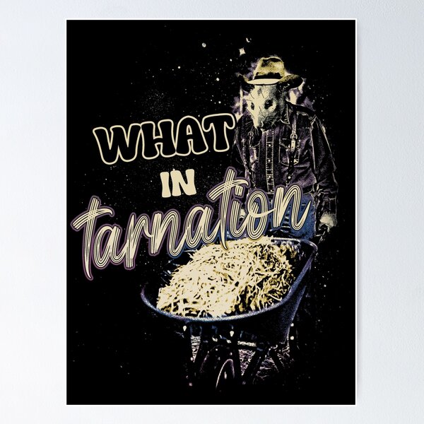 Item preview, What In Tarnation - Funny Possum Meme designed and sold by DragonScar.