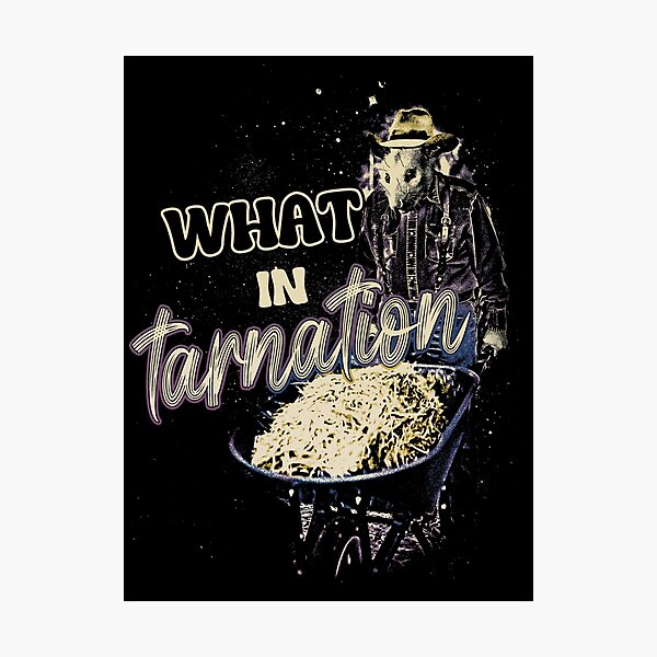 Item preview, What In Tarnation - Funny Possum Meme designed and sold by DragonScar.