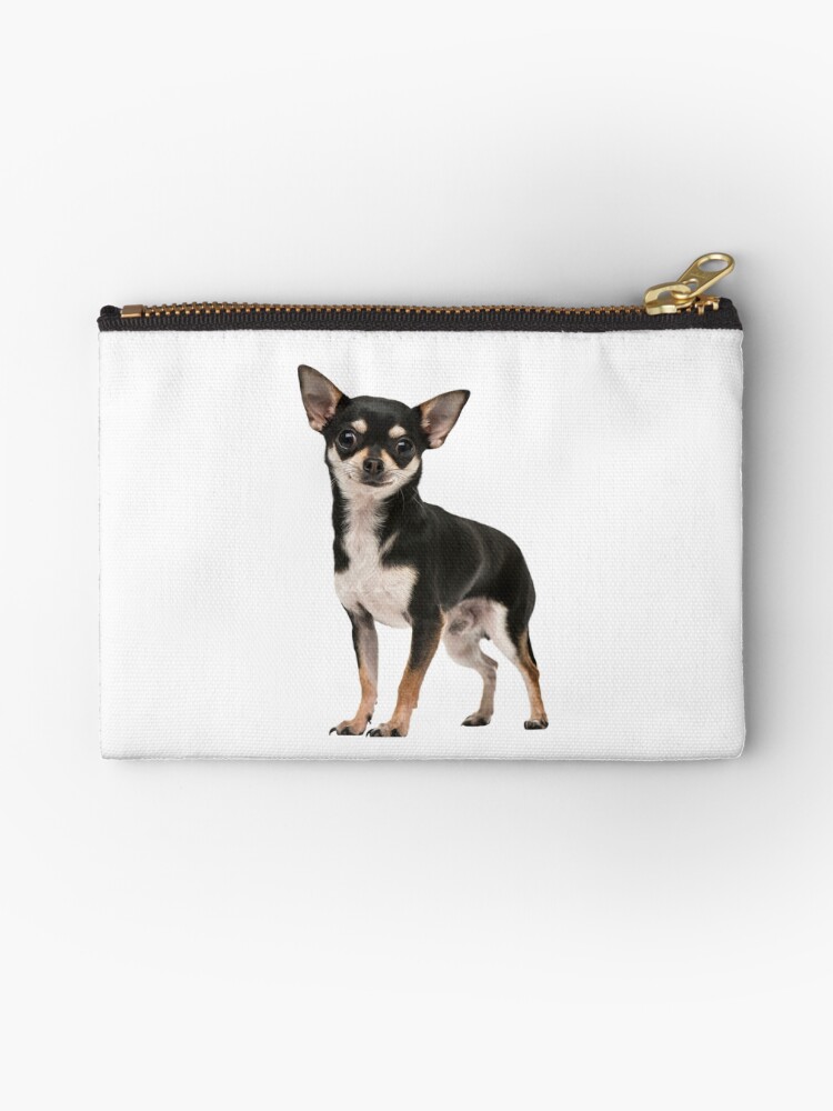 chihuahua pouch