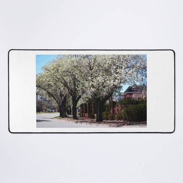 Item preview, Promise Of Spring Trees designed and sold by Cynthia48.
