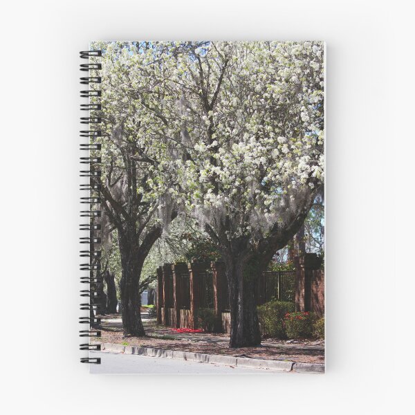 Item preview, Promise Of Spring Trees designed and sold by Cynthia48.