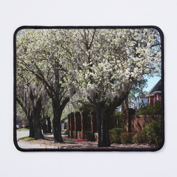Item preview, Promise Of Spring Trees designed and sold by Cynthia48.