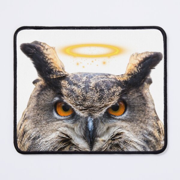 Item preview, Flaco with a halo designed and sold by FlacoTheOwl.