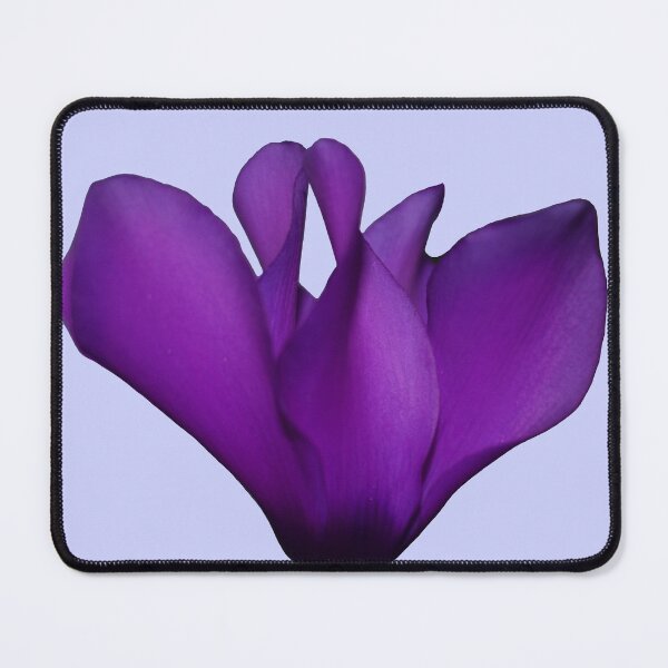 Item preview, Purple cyclamen designed and sold by mariya-ivanova.
