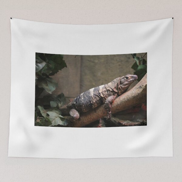 Item preview, Large Lizard designed and sold by Cynthia48.