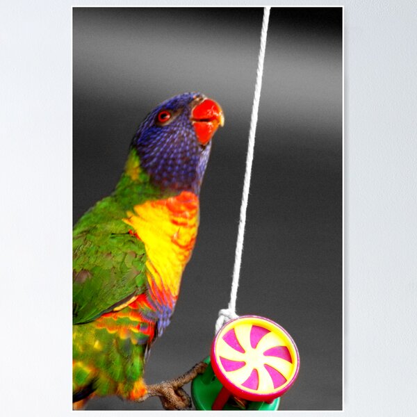 Item preview, Google designed and sold by for the love photography.