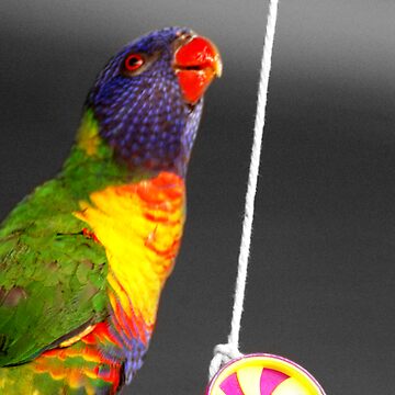 Artwork thumbnail, Google by for the love photography