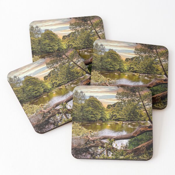 Item preview, Fallen Tree at the river Swale at Richmond  designed and sold by RosRidleyPhoto.