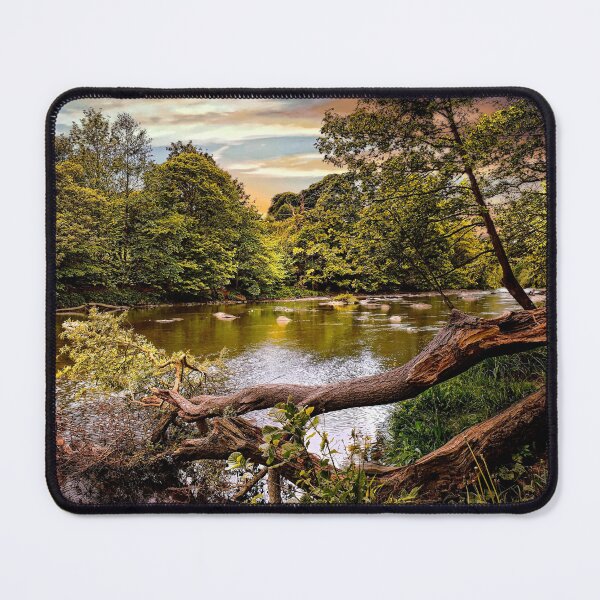 Item preview, Fallen Tree at the river Swale at Richmond  designed and sold by RosRidleyPhoto.