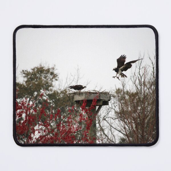 Item preview, Osprey Coming Home designed and sold by Cynthia48.