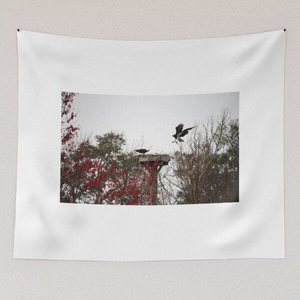 Item preview, Osprey Coming Home designed and sold by Cynthia48.