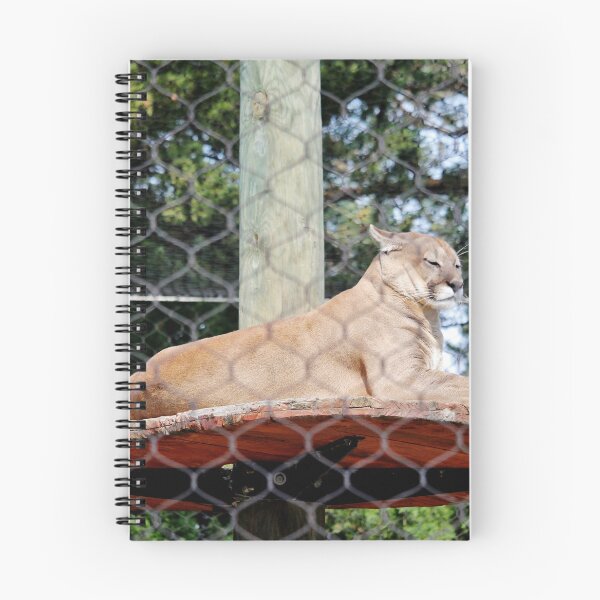 Item preview, Mountain Lion designed and sold by Cynthia48.