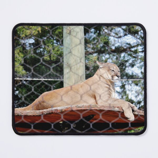 Item preview, Mountain Lion designed and sold by Cynthia48.