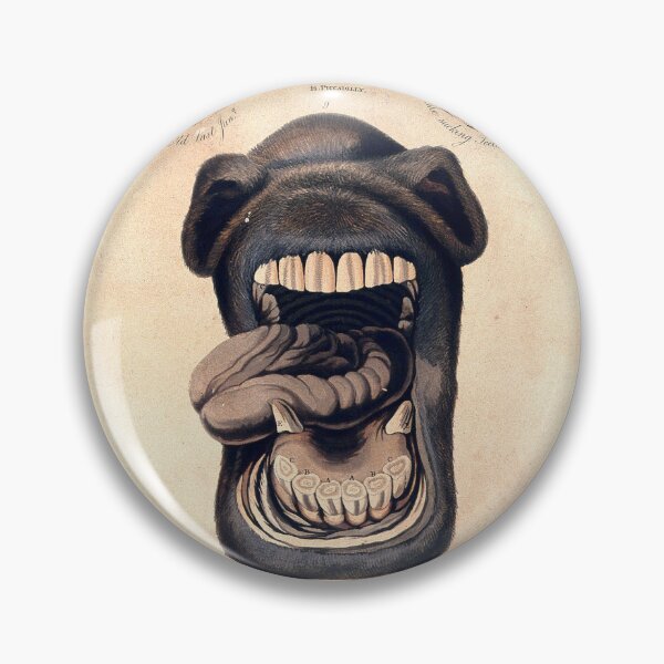 Item preview, Horse Teeth Anatomy Chart - Medical Oddities  designed and sold by Kekkuda.