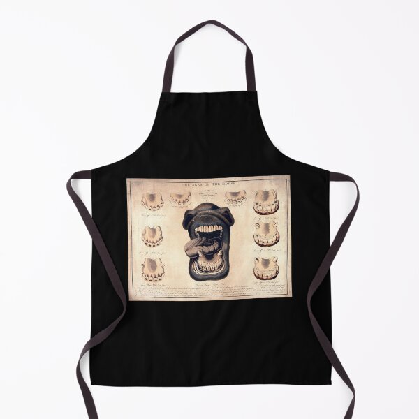 Item preview, Horse Teeth Anatomy Chart - Medical Oddities  designed and sold by Kekkuda.