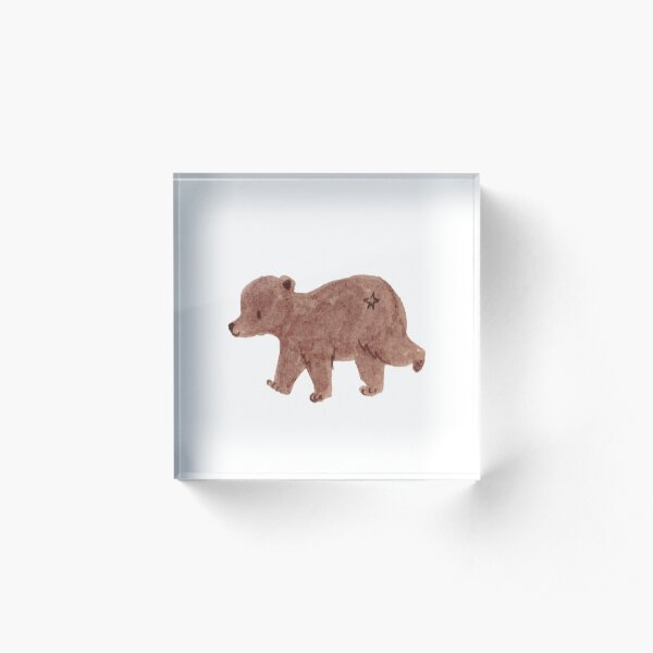 Cute Bear Illustration Acrylic Block