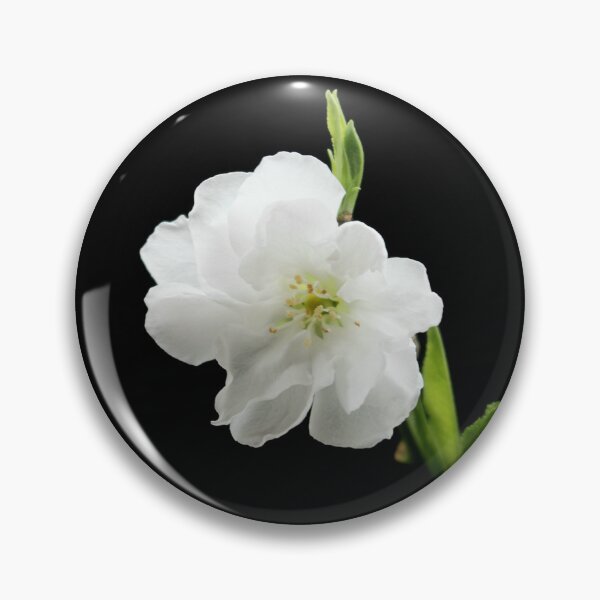 Item preview, White Cherry Blossom designed and sold by AnthonyThomas.