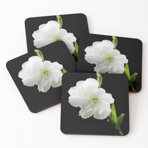 Item preview, White Cherry Blossom designed and sold by AnthonyThomas.