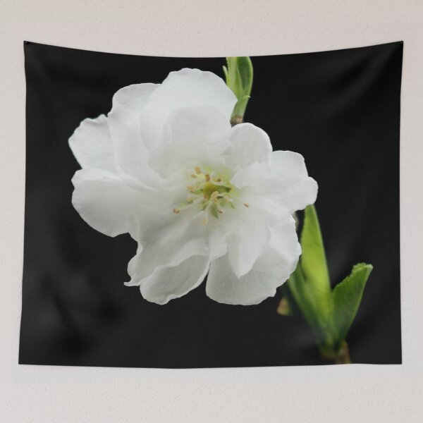 Item preview, White Cherry Blossom designed and sold by AnthonyThomas.
