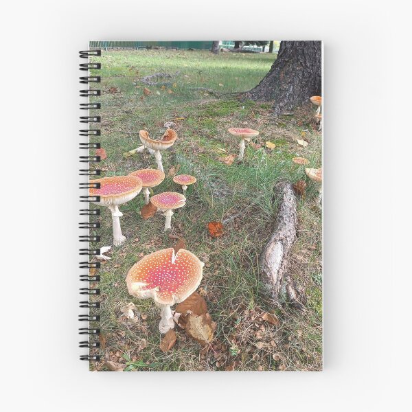 Item preview, Toadstool mushrooms. designed and sold by MyHappyArtShop.