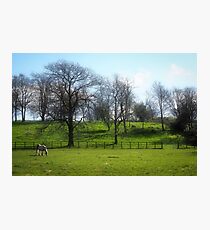 Rural Somerset Photographic Print