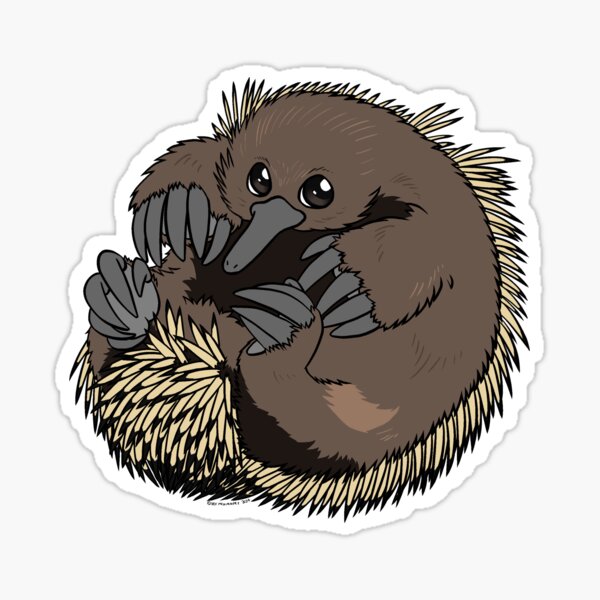 Weird and Wonderful World - Short-beaked Echidna Sticker