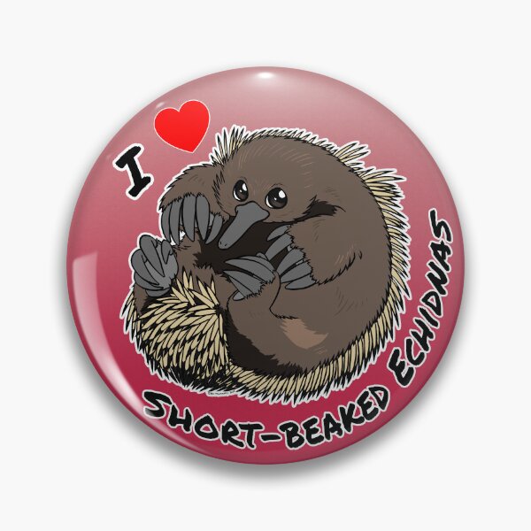 Item preview, Weird and Wonderful World - I love Short-beaked Echidnas designed and sold by Dexter McKinnery.