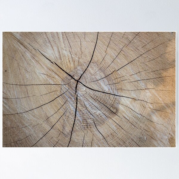 Artikelvorschau, Holz & Holz entworfen und verkauft von Maridac.