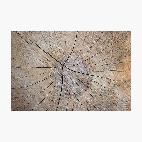 Item preview, Wood & wood designed and sold by Maridac.