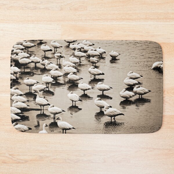 Item preview, Birds designed and sold by Picsorama.
