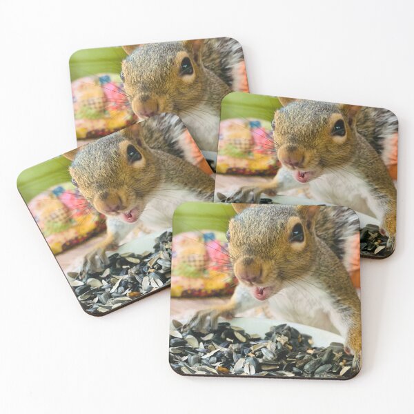 Item preview, Chi chi the squirrel- Nature of Joy  designed and sold by NatureofJoy.