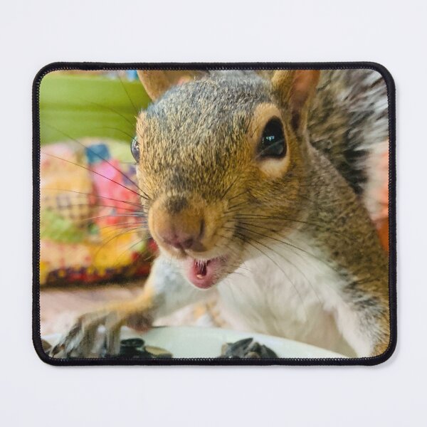 Item preview, Chi chi the squirrel- Nature of Joy designed and sold by NatureofJoy.