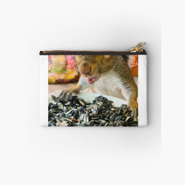 Item preview, Chi chi the squirrel- Nature of Joy  designed and sold by NatureofJoy.