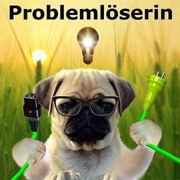 Artwork thumbnail, problem solver by Asinno