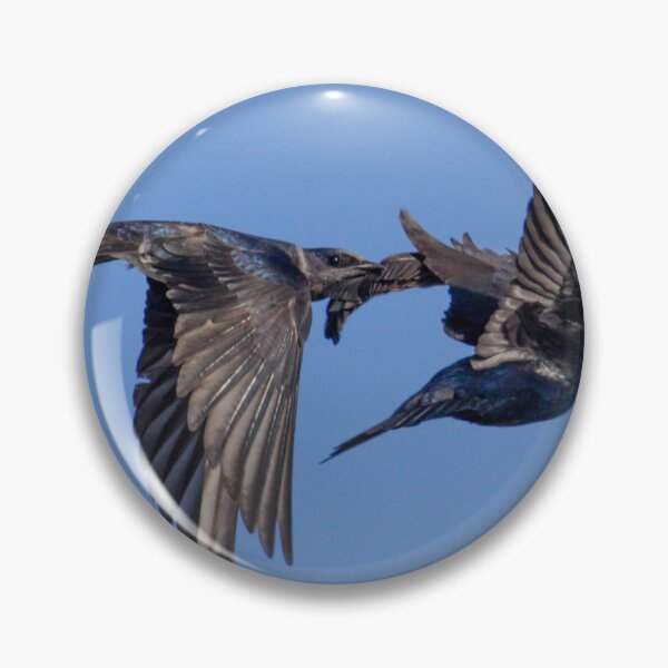 Item preview, Purple Martin CHOMP designed and sold by BydandBay.