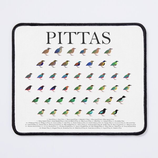 Item preview, Pitta Poster designed and sold by Daniel Terrington.