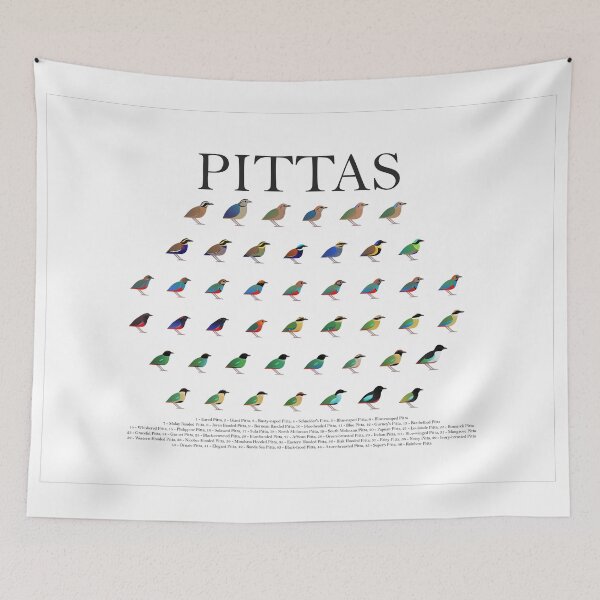 Item preview, Pitta Poster designed and sold by Daniel Terrington.