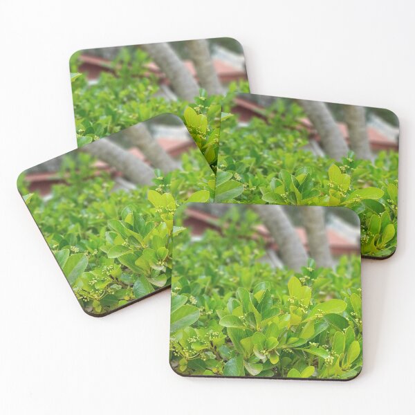 Item preview, shrubbery designed and sold by Zviews.