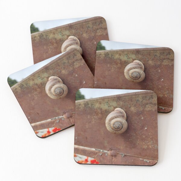 Item preview, snail designed and sold by Zviews.