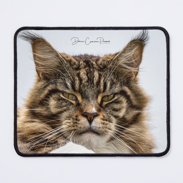 Item preview, The Boss Of The House designed and sold by Donna Cameron-Prosser.