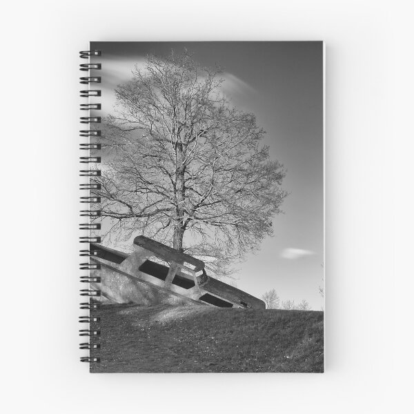 Item preview, Who dumped the boat? designed and sold by Delfino.