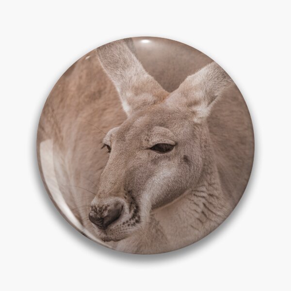Item preview, Big Red Kangaroo designed and sold by Donna Cameron-Prosser.
