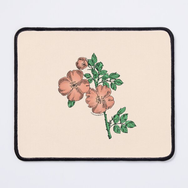 Item preview, Apricot Quartered Rose Bloom Single 1-7 Petals Almost Flat designed and sold by Rachael Taylor.