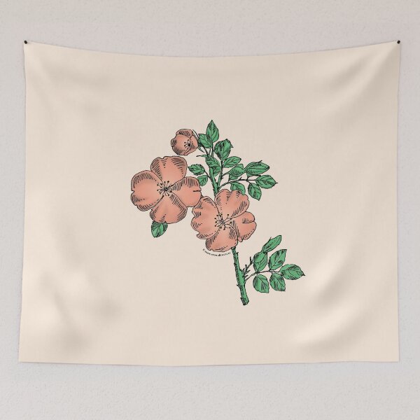 Item preview, Apricot Quartered Rose Bloom Single 1-7 Petals Almost Flat designed and sold by Rachael Taylor.